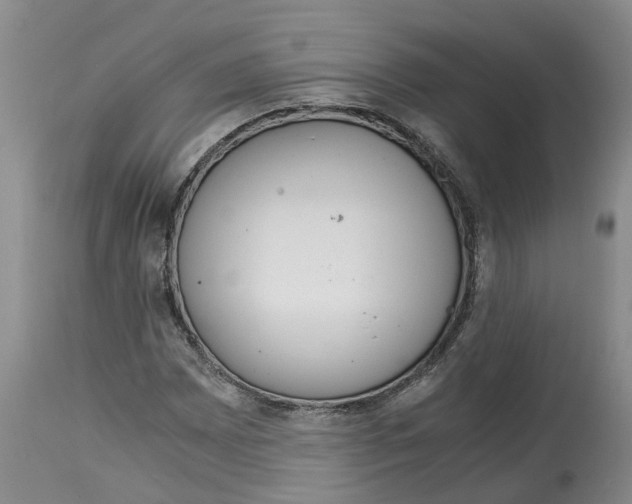 X0000115001065200911161532