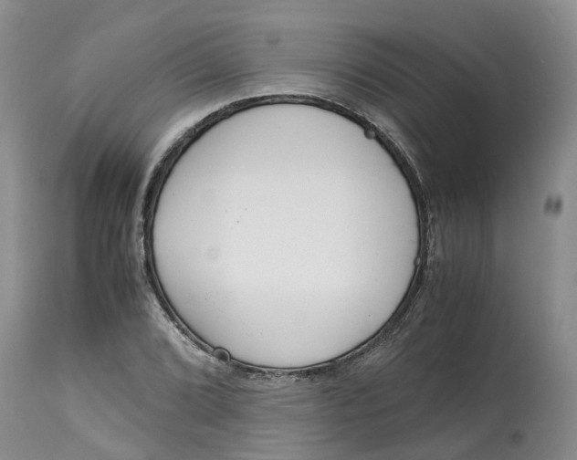 X0000115001072200911161531