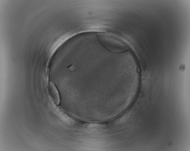 X0000115001077200911161531