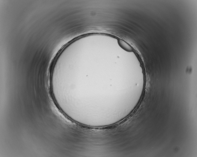 X0000115001080200911161531