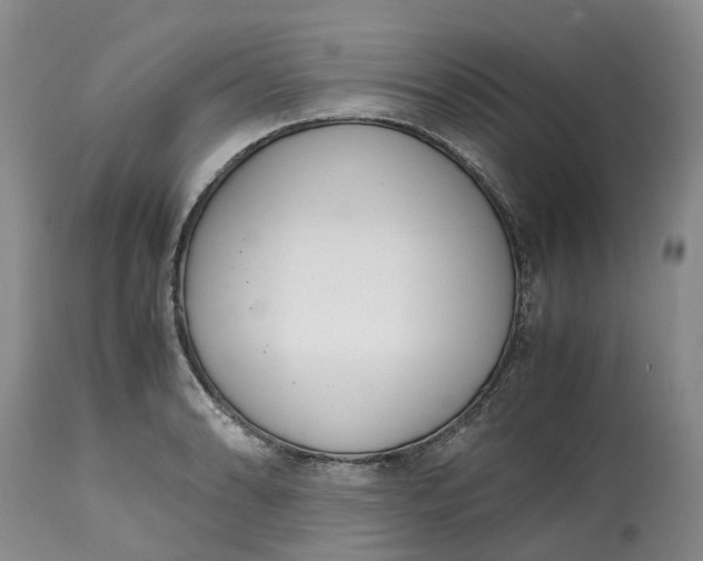 X0000115001086200911161531