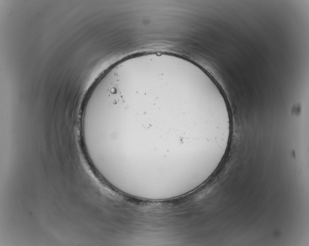 X0000115001093200911161531