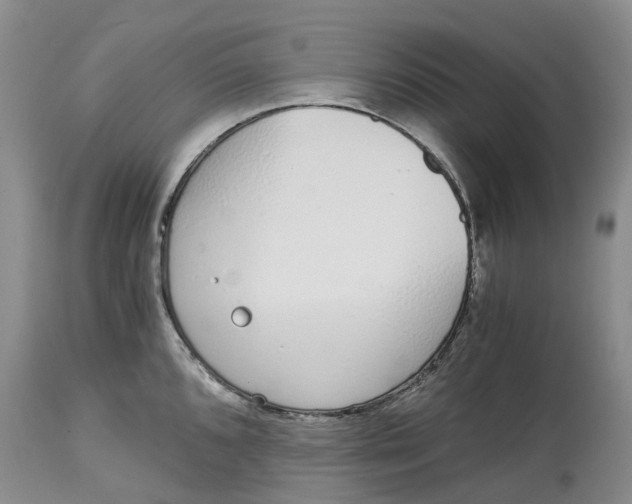 X0000115001096200911161531