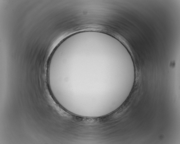 X0000115001099200911161531