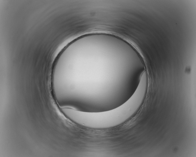 X0000115001101200911161531