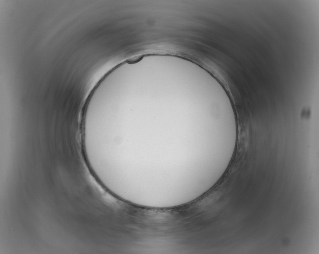 X0000115001103200911161531