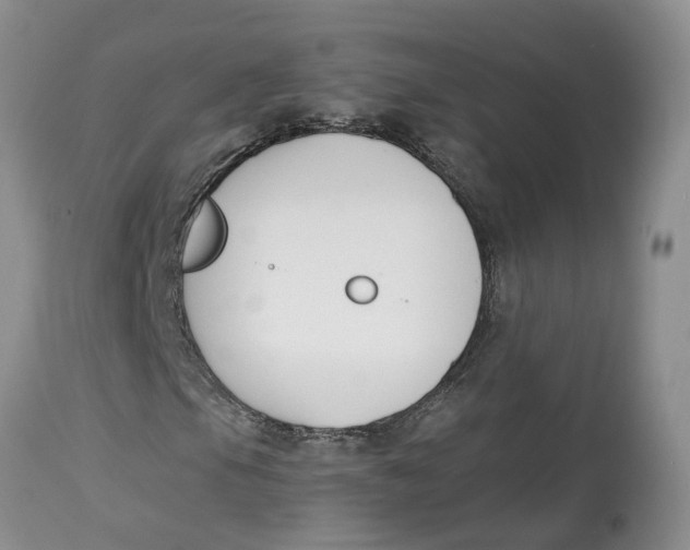 X0000115001105200911161530