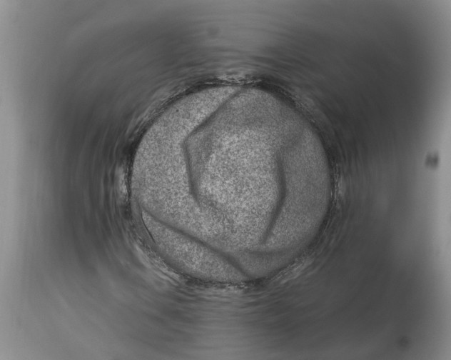 X0000115001106200911161530