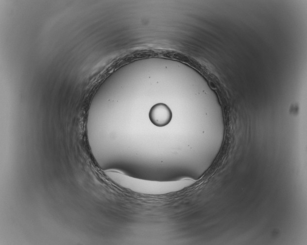 X0000115001110200911161530