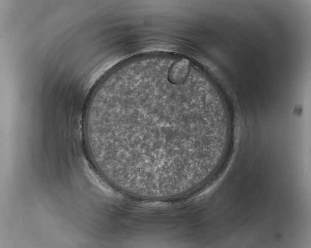 X0000115001113200911161530