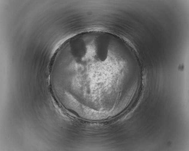 X0000115001117200911161530