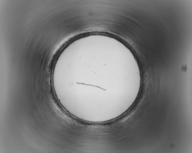 X0000115001118200911161530