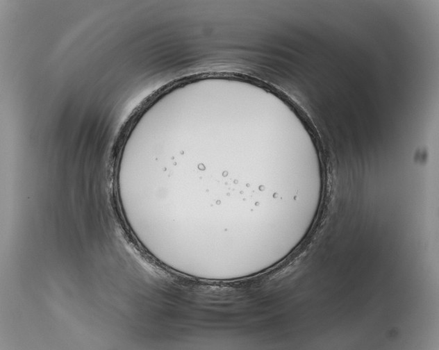 X0000115001119200911161530