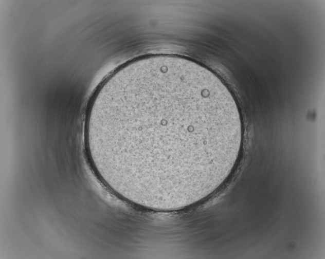 X0000115001130200911161531