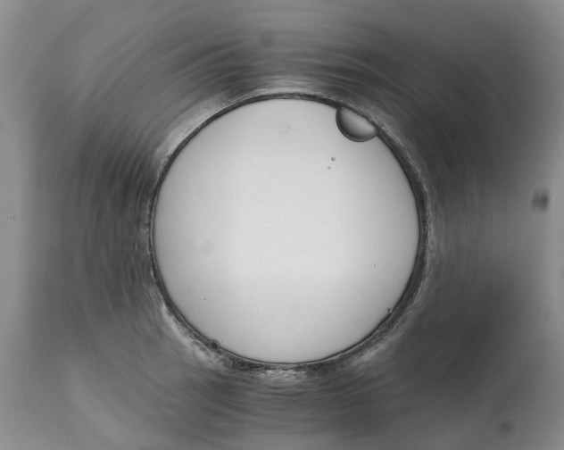 X0000115001137200911161531