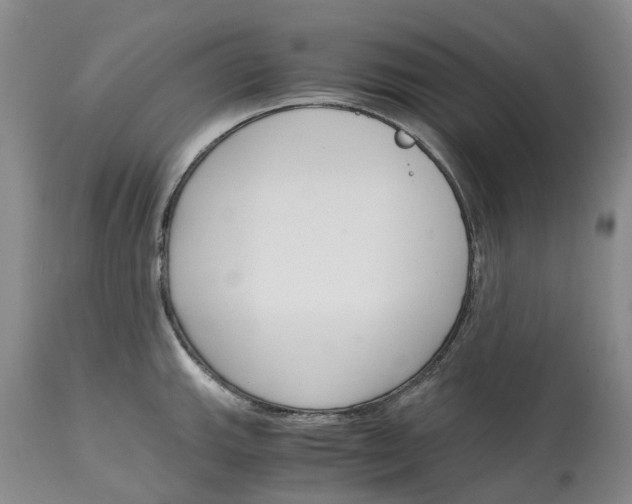 X0000115001143200911161531