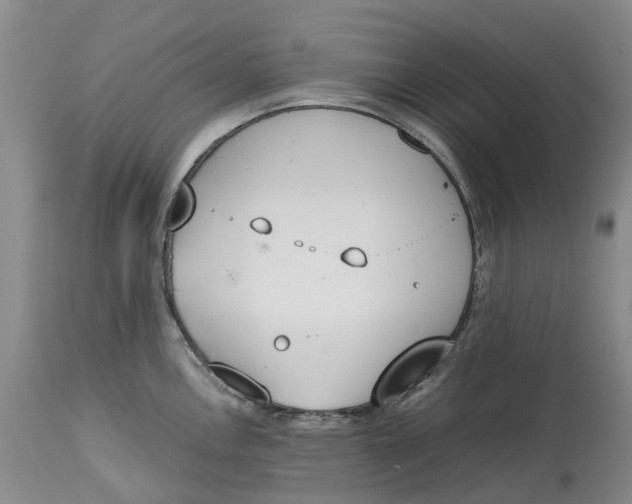 X0000115001146200911161531