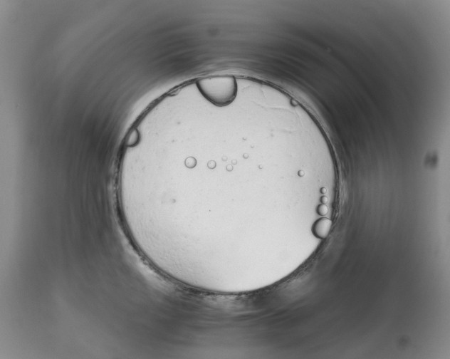 X0000115001149200911161531