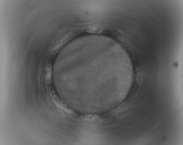 X0000115001154200911161530