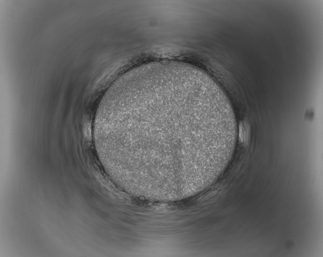 X0000115001155200911161530