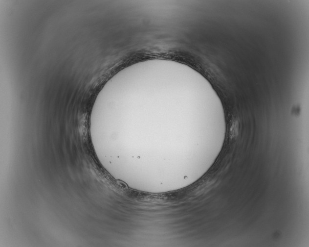 X0000115001156200911161530