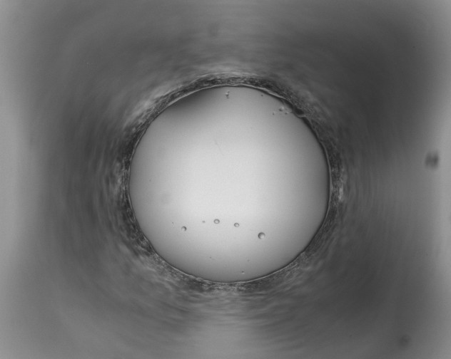 X0000115001157200911161530