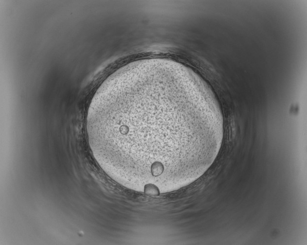 X0000115001158200911161530