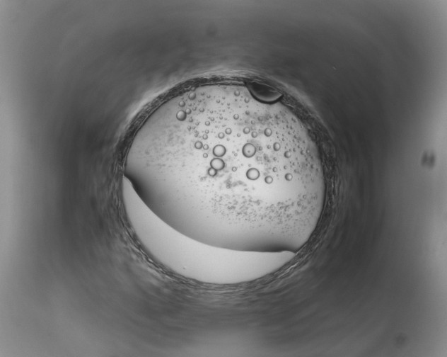 X0000115001160200911161530