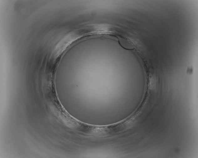 X0000115001161200911161530