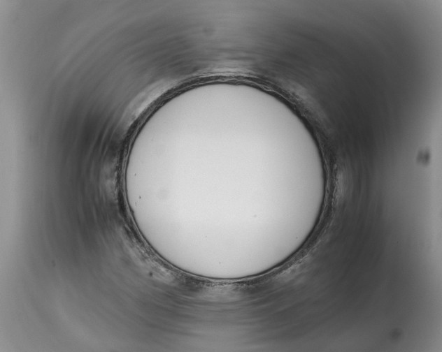 X0000115001162200911161530