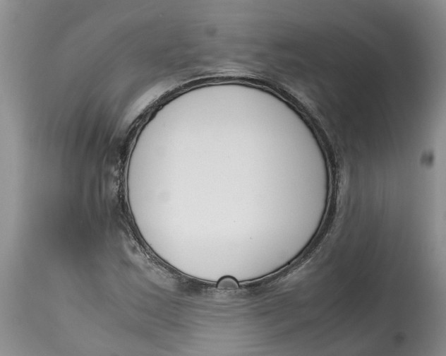 X0000115001163200911161530