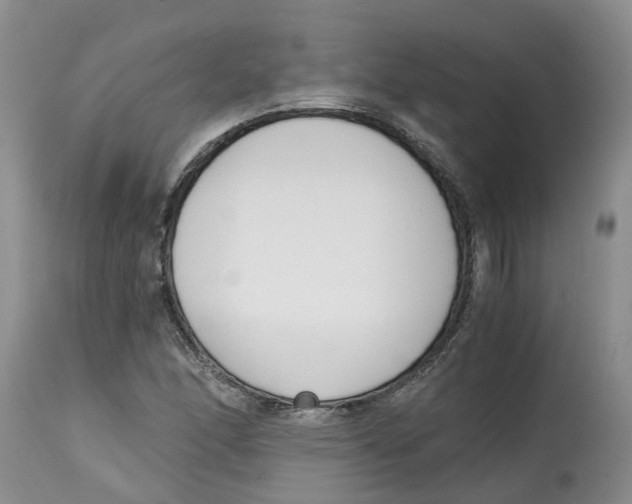 X0000115001166200911161530