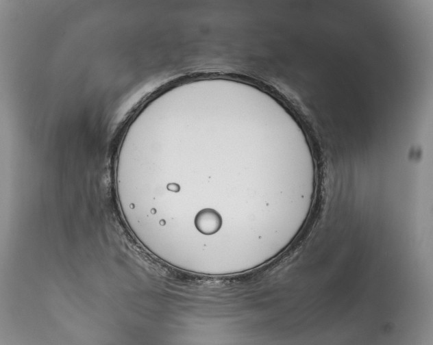 X0000115001167200911161530