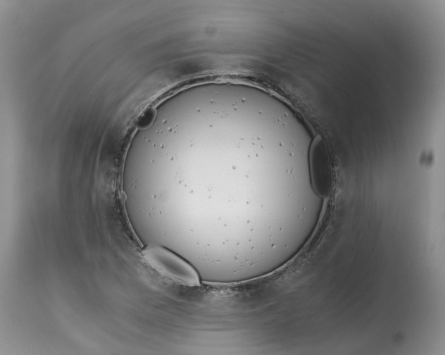 X0000115001169200911161530