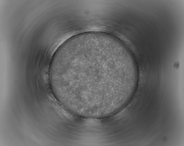 X0000115001170200911161530