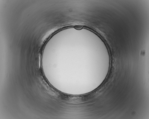 X0000115001171200911161530