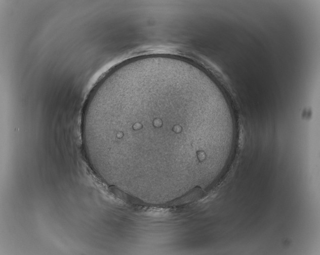 X0000115001174200911161530