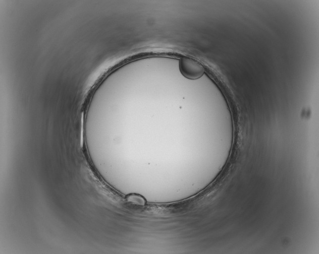 X0000115001175200911161530