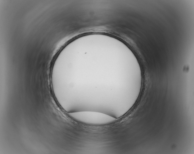 X0000115001176200911161530