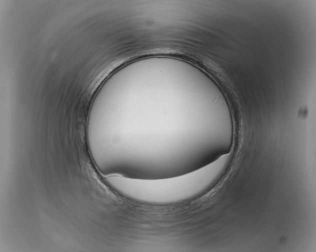 X0000115001177200911161530