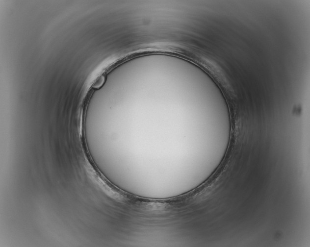 X0000115001180200911161530