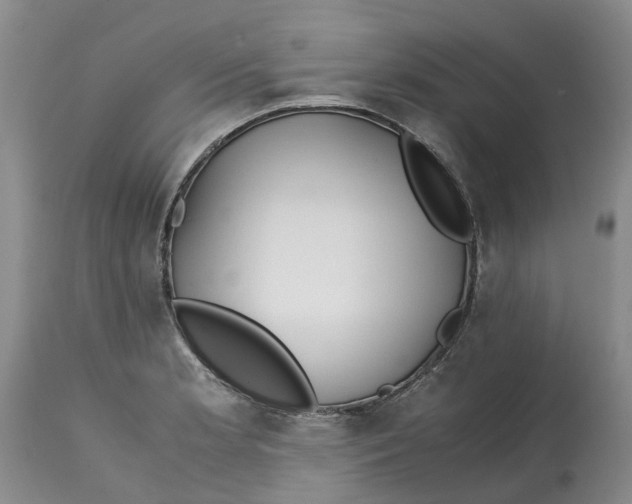 X0000115001181200911161530