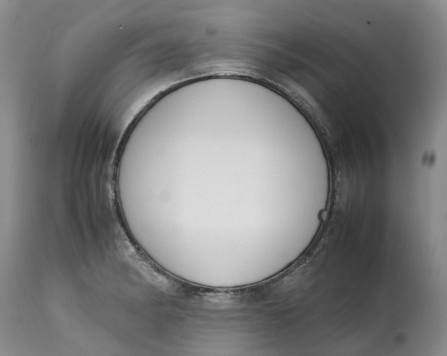 X0000115001182200911161530