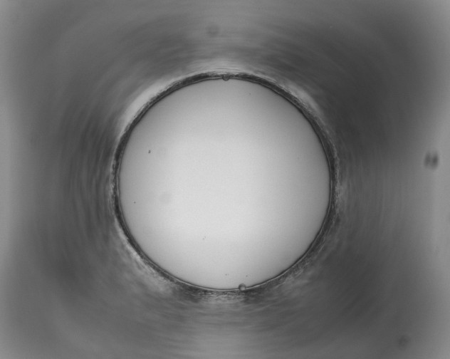 X0000115001183200911161530