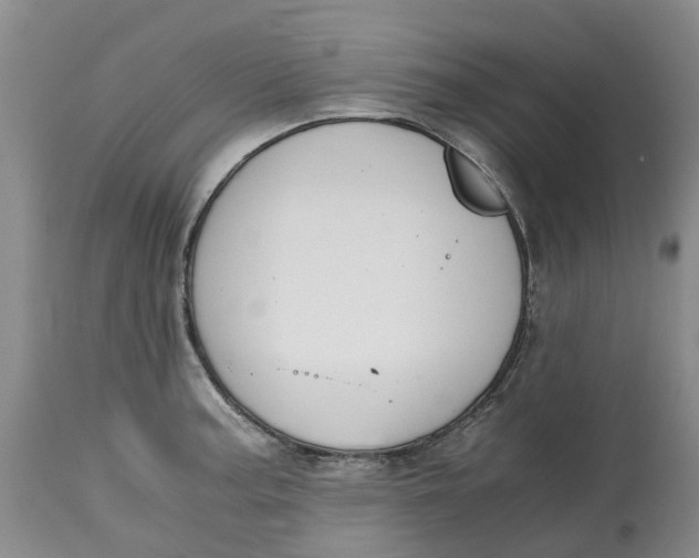 X0000115001187200911161530