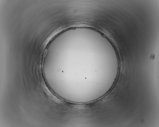 X0000115001189200911161530