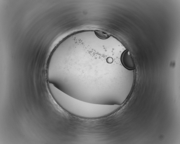 X0000115001192200911161529