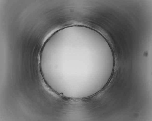 X0000115001198200911161529