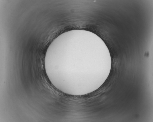 X0000115001202200911161529