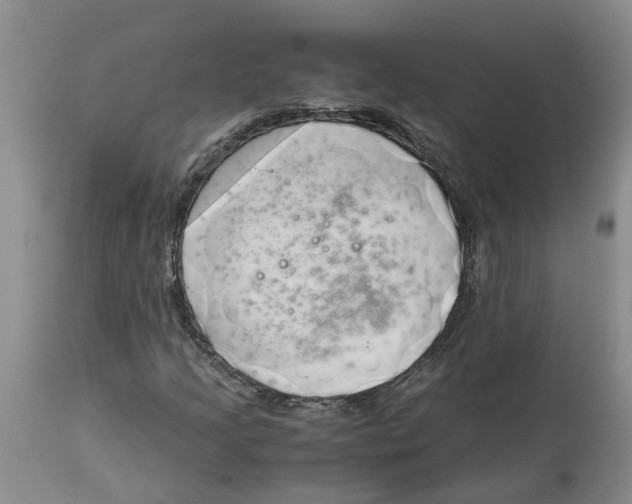 X0000115001205200911161529